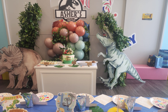 Best Kids Birthday Parties in Ashburn Awaits
