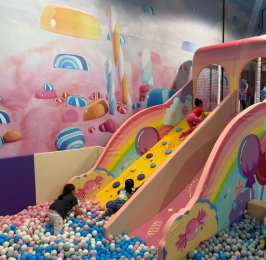 Birthday party zone ashburn